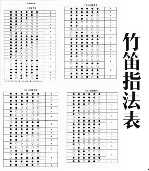 国产长笛教学视频
