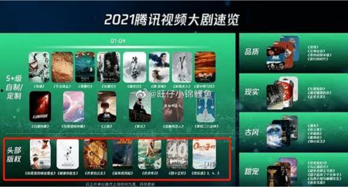 国产为什么不发视频,揭秘为何国产视频鲜见海外